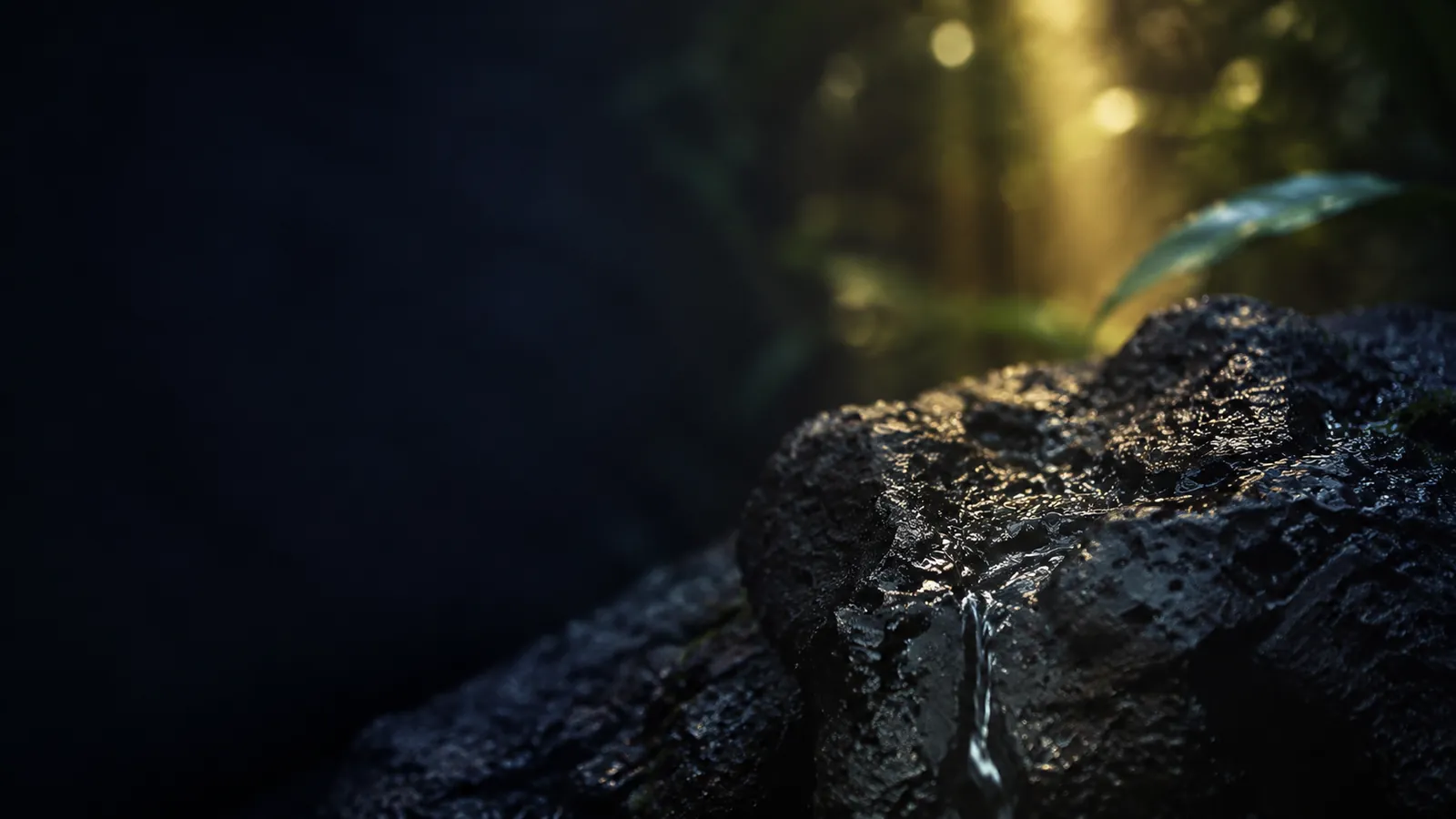 Roche volcanique et lumière tropicale, massage tantrique à La Réunion