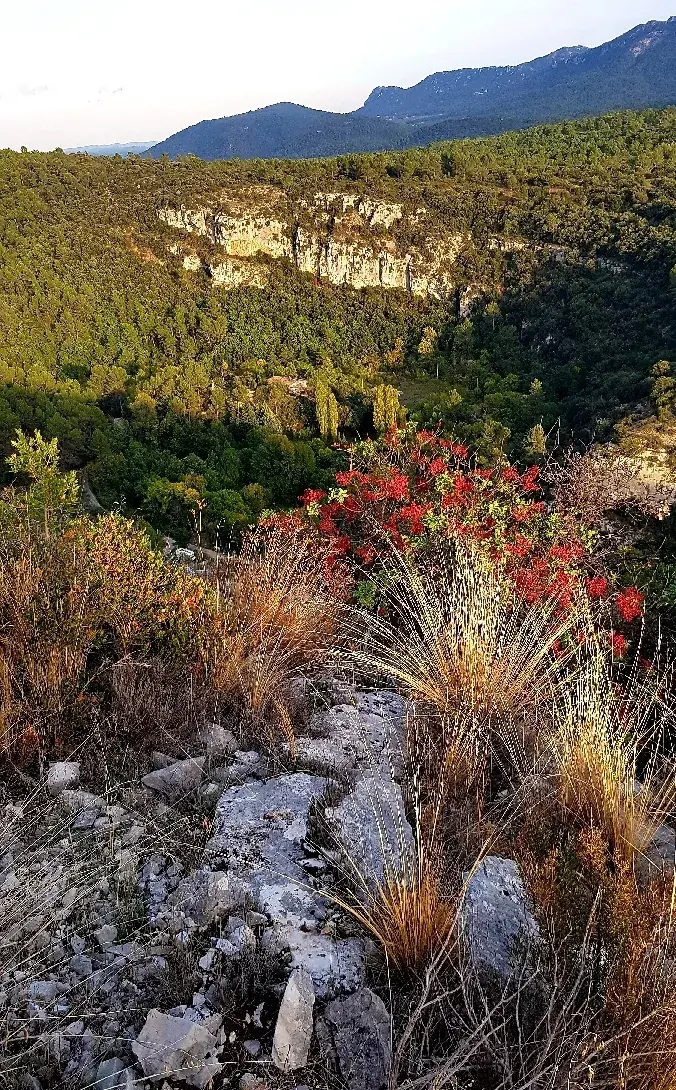 Les gorges du Caramy vues du promontoire